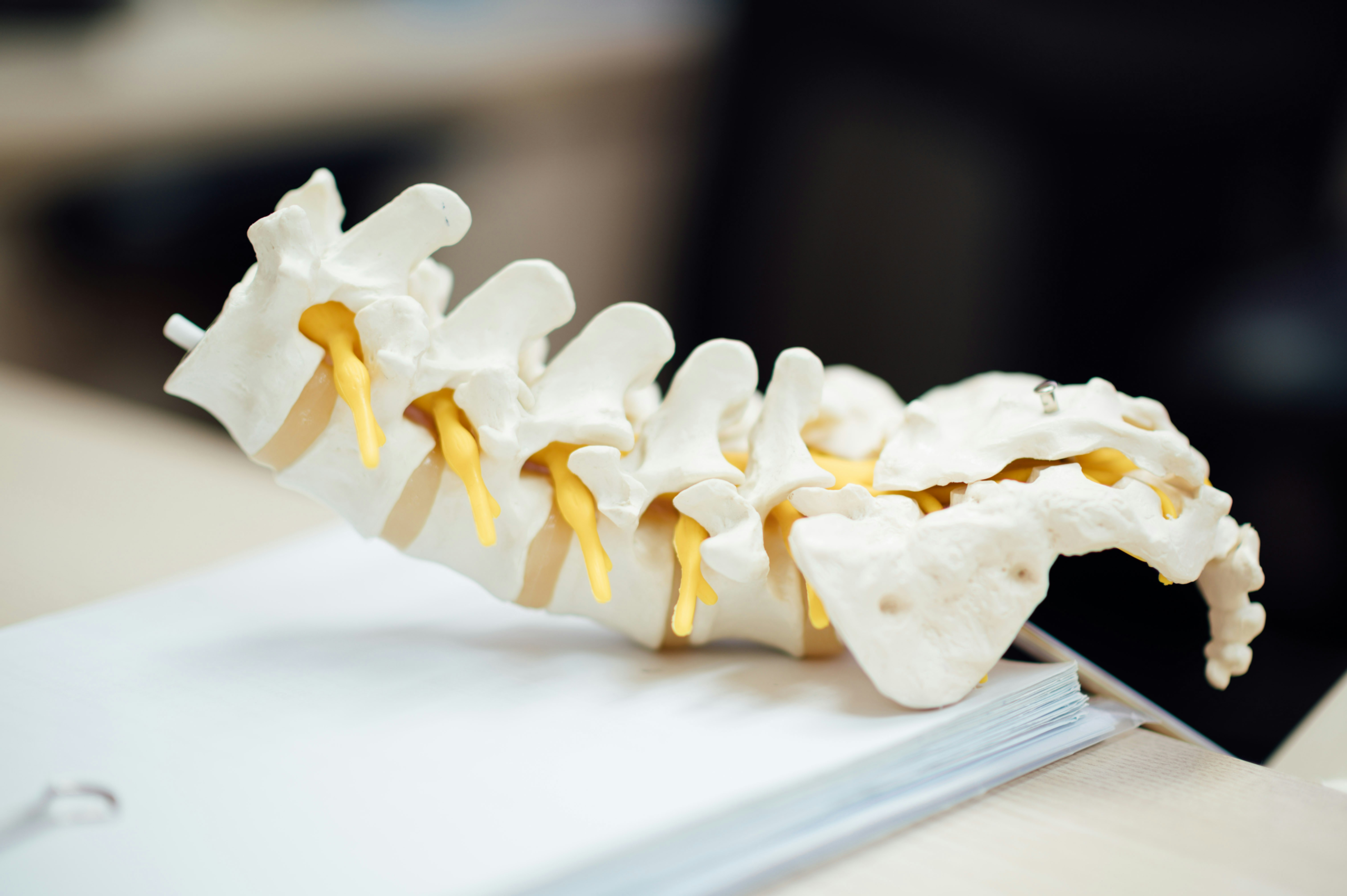 Gentle chiropractic care in Melbourne, FL